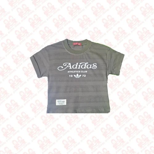 تیشرت پسرانه یقه گرد بیسکوئیتی کد4500-439